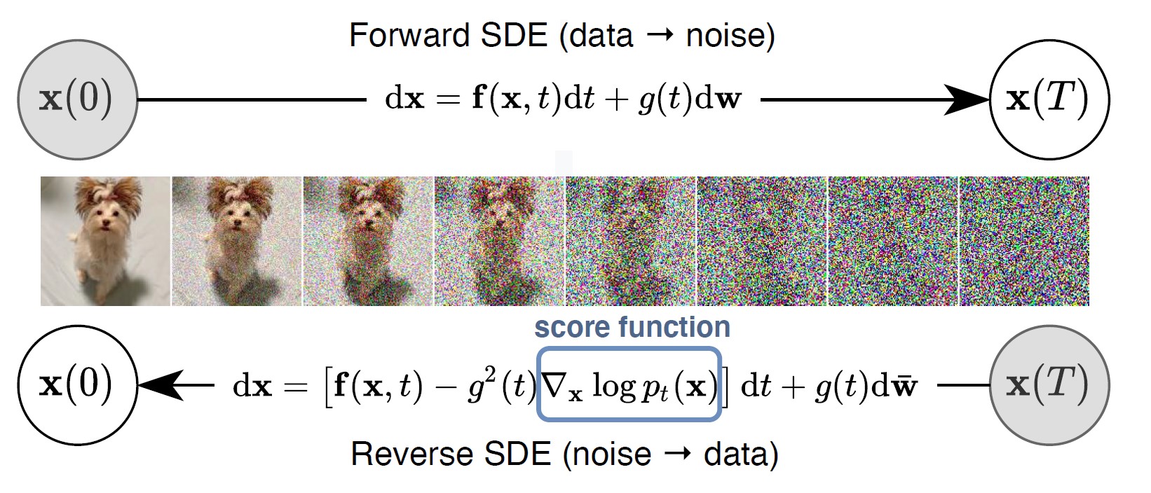 Forward and Reverse SDEs